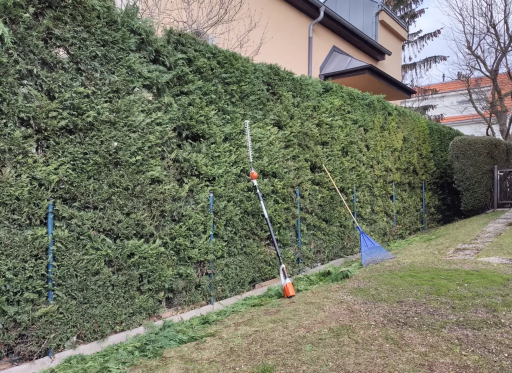 Hecke schneiden