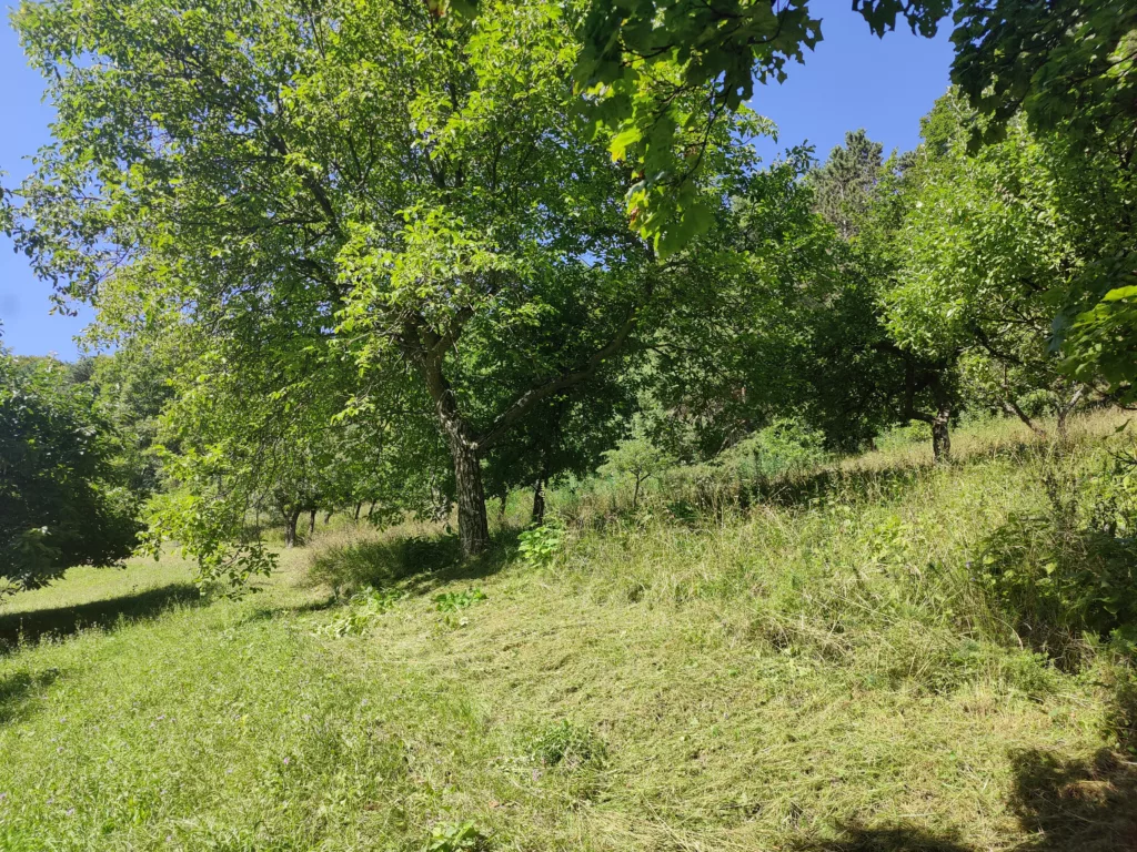 Gartenarbeiten