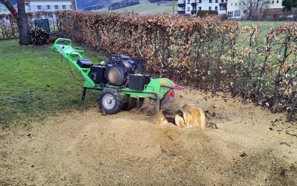 Baumstumpf entfernen, Baumstumpf fräsen, Wurzelstock fräsen