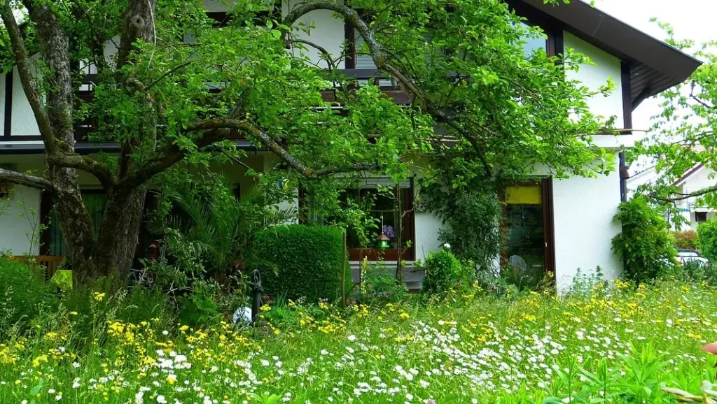 Garten Grundstückspflege