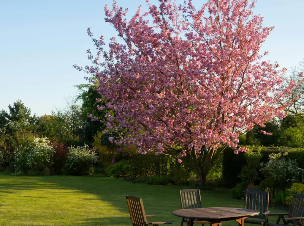 Gartenarbeiten im Frühling