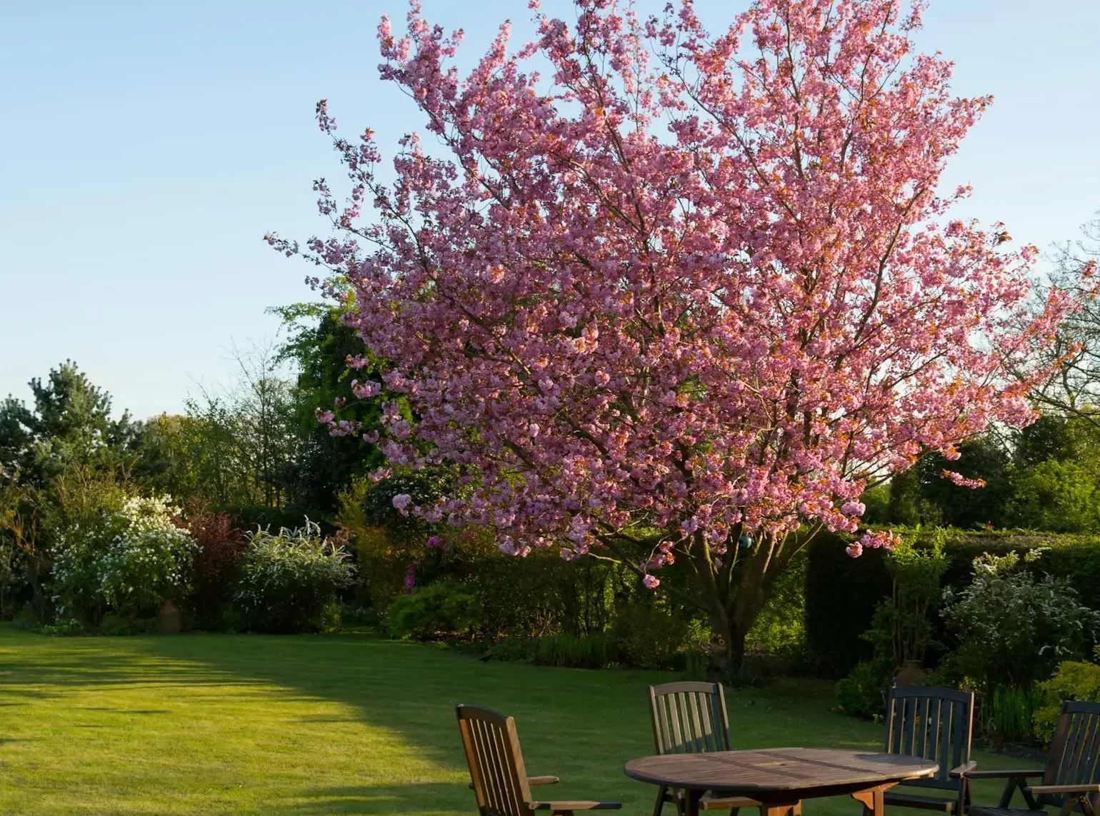 Welche Gartenarbeiten sind im Frühling wichtig?