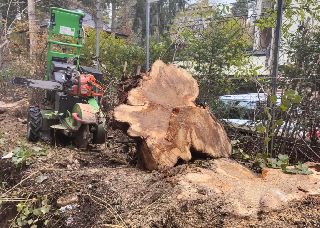 Wurzelstock fräsen nach Rodungsarbeiten